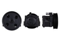 servo pump