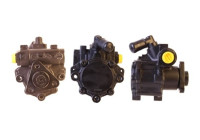 servo pump