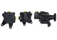 Servo pump
