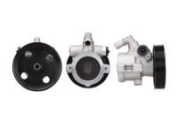 servo pump