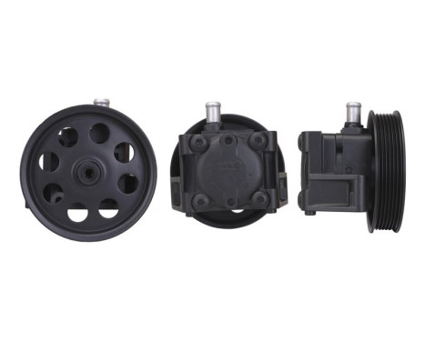 Servo pump