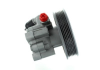Servo pump