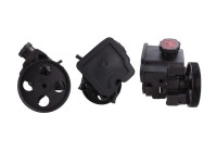 Servo pump