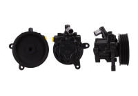 Servo pump
