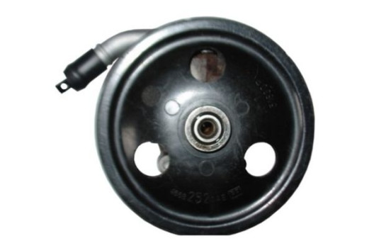 Servo pump