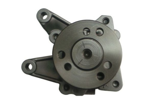 Servo pump