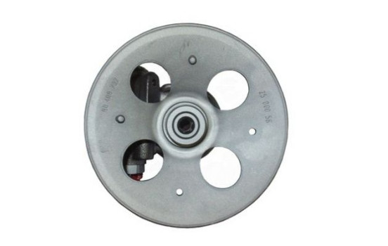 servo pump