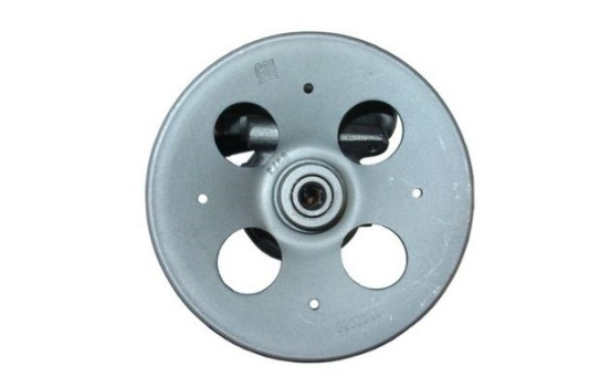 servo pump