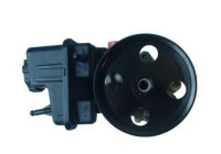 servo pump