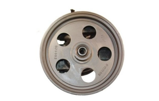 servo pump