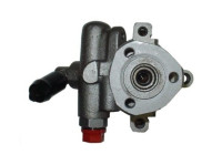 servo pump
