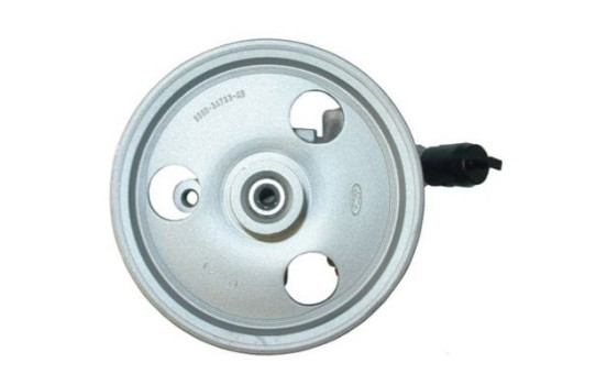 servo pump