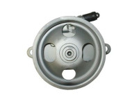 servo pump