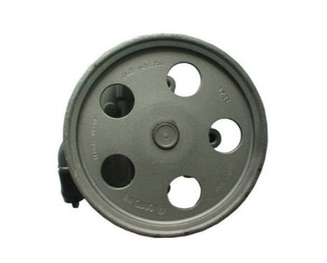 Servo pump