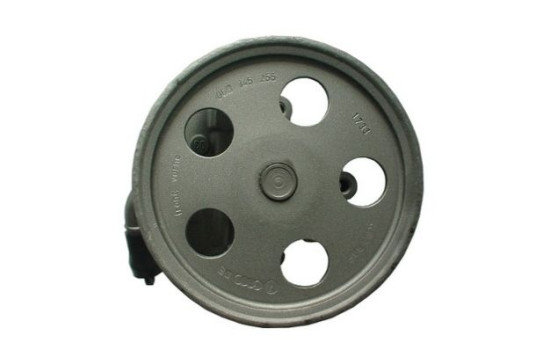 Servo pump