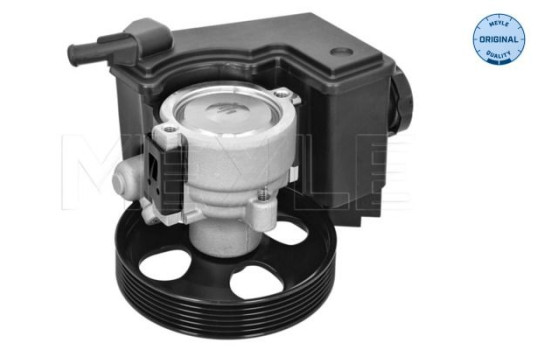 Servo pump