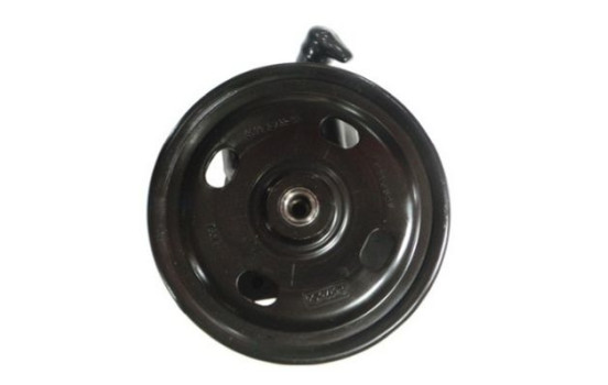 servo pump