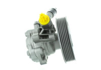Servo pump