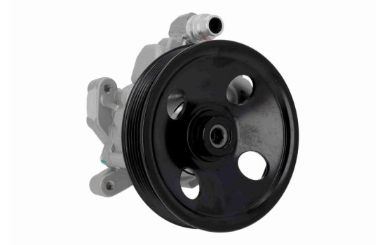 servo pump