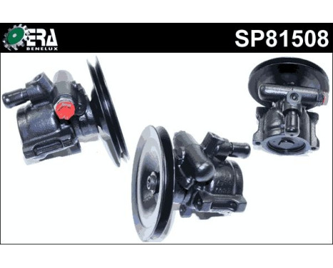 Servo pump