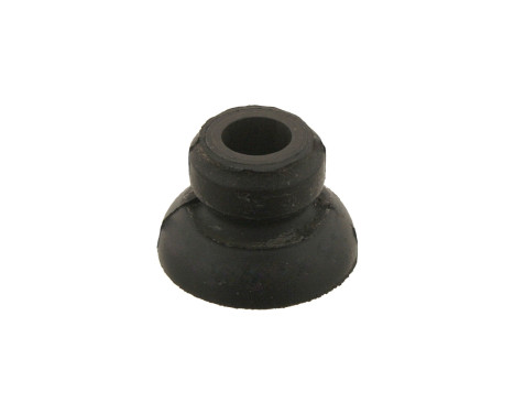 Mounting, steering gear