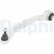 Track Control Arm TC1879 Delphi
