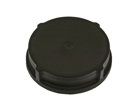 Sealing Cap, expansion tank (power steering)