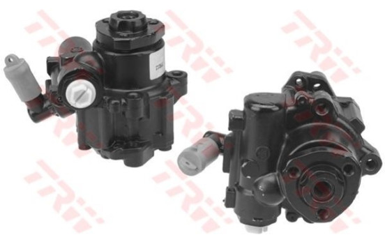 Hydraulic Pump, steering system JPR254 TRW, Image 2