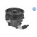 Hydraulic Pump, steering system MEYLE-ORIGINAL Quality
