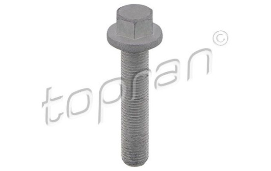 Pulley screw