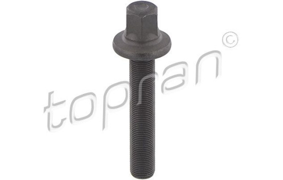 Pulley screw