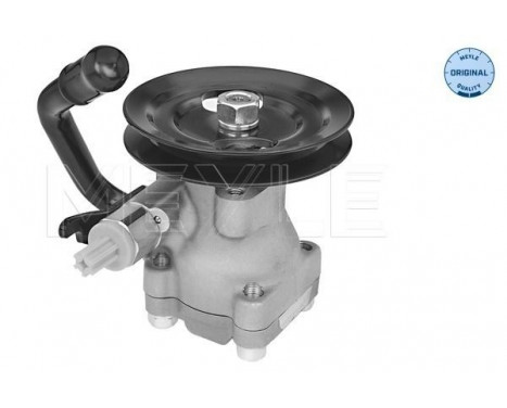 servo pump