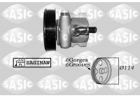 servo pump