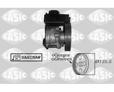 servo pump