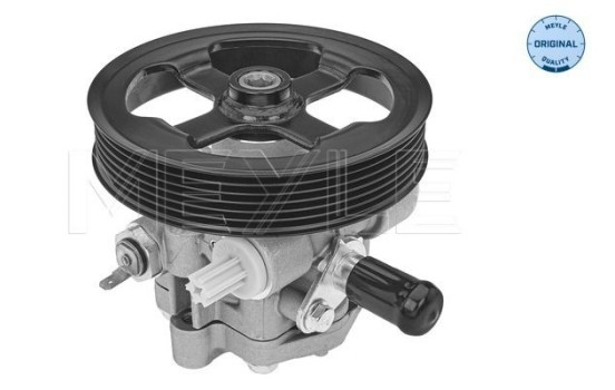 servo pump