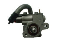 servo pump