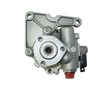 servo pump