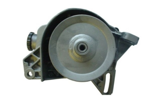 servo pump