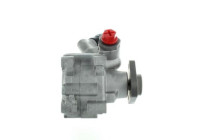 Servo pump