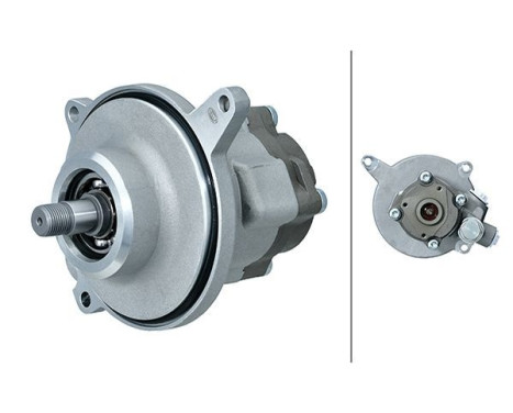 servo pump