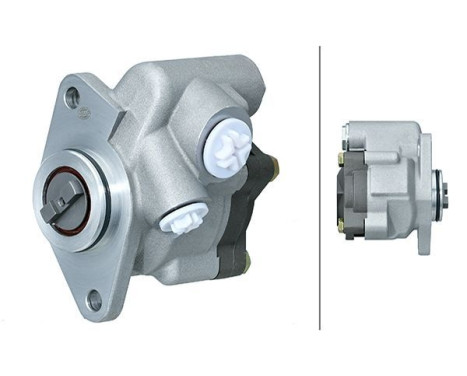 servo pump