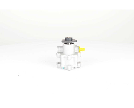 servo pump