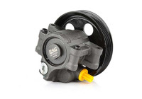 servo pump