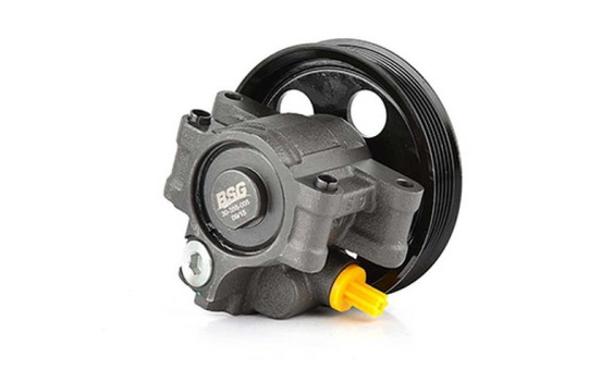 servo pump