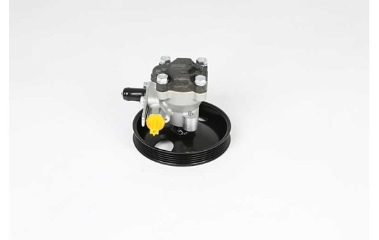 servo pump