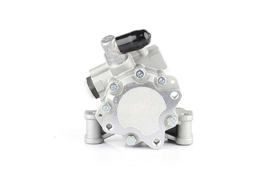 servo pump