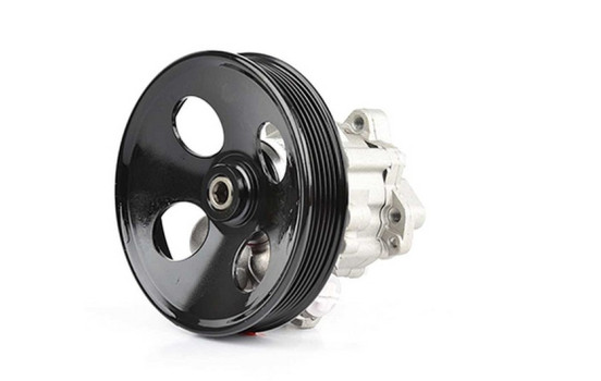servo pump
