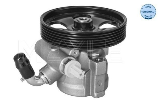 servo pump