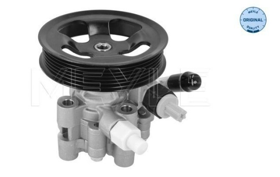 servo pump