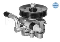 servo pump